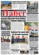 ŞEMDİNLİ HABER