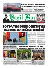YEŞİL BOR