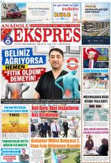 ANADOLU EKSPRES
